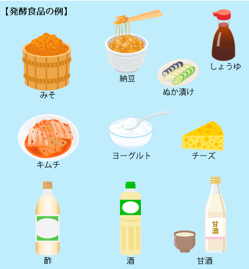 発酵食品の例